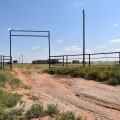Discovering the Unique Wildlife of Lubbock, Texas